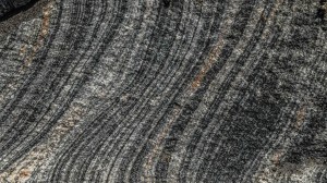 The Five Senses Meditation