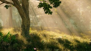 Meditation: Mindfulness with Mona Therese