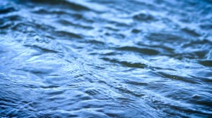 Meditation: Mindfulness with Mona Therese