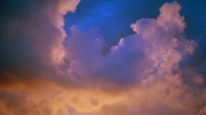 Anne Diamond in conversation with Norwegian art photographer Marius Schultz