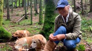 This week: Expeditions