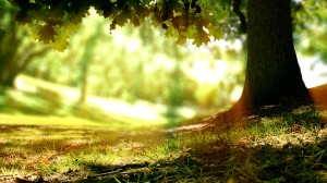 Podcast: Mindfulness with Mona Therese (Mindful Breathing)