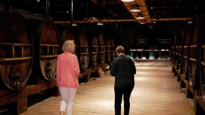 Discover historic Montpellier & picturesque Marseille with Jean Newman Glock