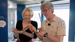 Witness the beauty of Georgian Bay with Jean Newman Glock