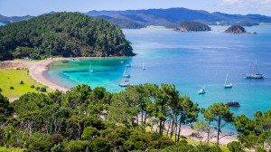 Explore island ecosystems with Caroline Malloy, PhD