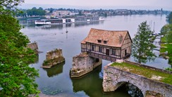 At home in Vernon with artist Patricia Rynski d'Argence