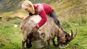 Celebrate Norwegian heritage with Karine Hagen