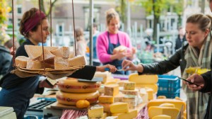 Gain insight into the capital city of Amsterdam with a local tour guide