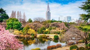 Discover our Top 10 most beautiful gardens with Viking’s Karine Hagen