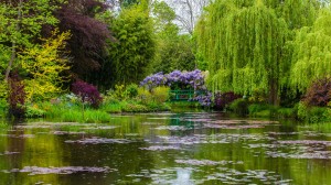 Discover Worldwide Gardens in a Bloom
