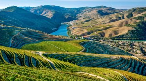 Discover the Douro River's Treasures