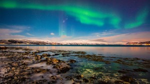 Discover the Arctic Circle, Greenland and Iceland with Viking’s expedition experts