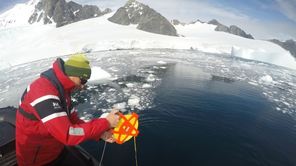 Exploring Citizen Science with Dr. Damon Stanwell-Smith, Laura Smith and Allison Cusick