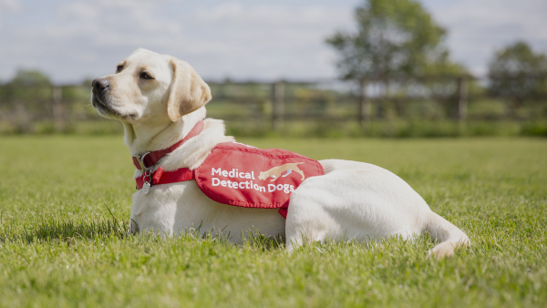 Medical Detection Dogs CEO and cofounder Dr. Claire Guest