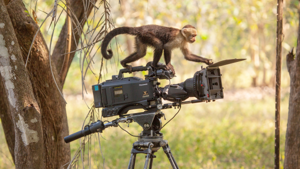 Alastair Miller in Conversation with award-winning wildlife cinematographer Gavin Thurston