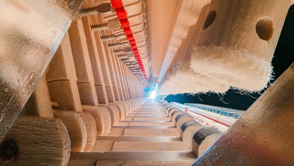 Anne Diamond learns the art of photography with Charles Brooks