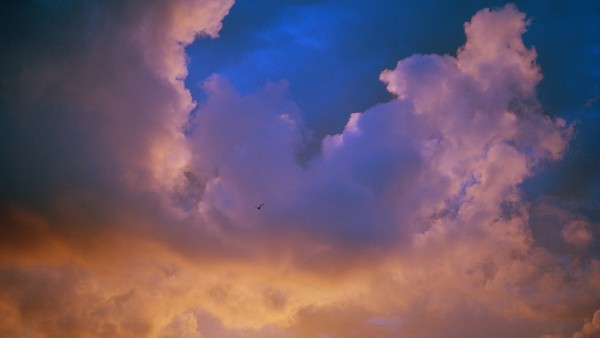 Anne Diamond in conversation with Norwegian art photographer Marius Schultz