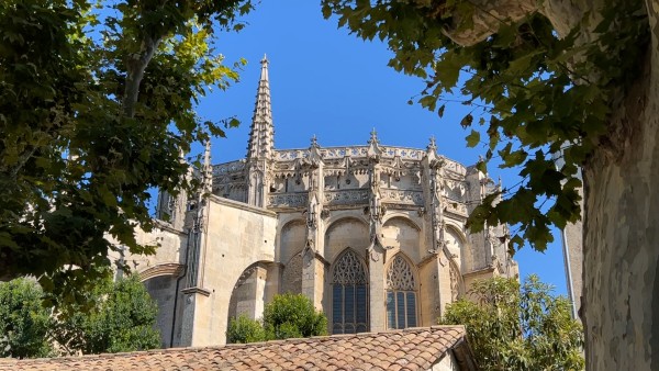 Get an intimate glimpse of Provence from a local guide and learn about the terroir that produces its elegant Rosés