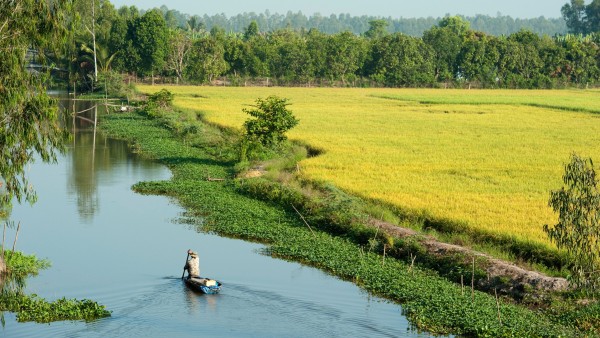 Deepen your appreciation of the mighty Mekong River with Dr. John Freedman