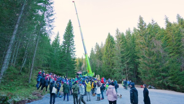 Marvel at the Trafalgar Square Christmas Tree in London