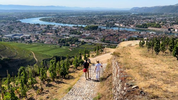 Explore the Rhône Valley with Viking’s Nikolas Rabogliatti 
