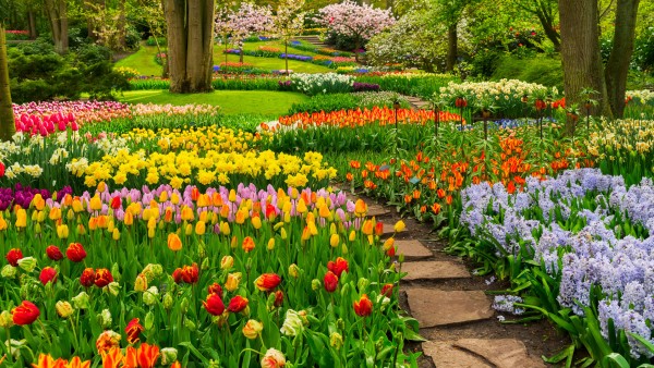 Marvel at colorful blooms at the renowned Keukenhof Gardens in the Netherlands