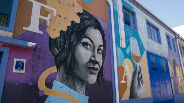 Explore the Douro Valley’s Moscatel heritage at Quinta da Avessada