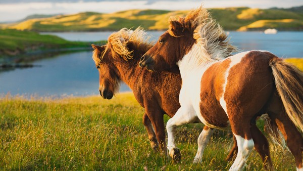 Discover 10 top British Isles experiences with Karine Hagen