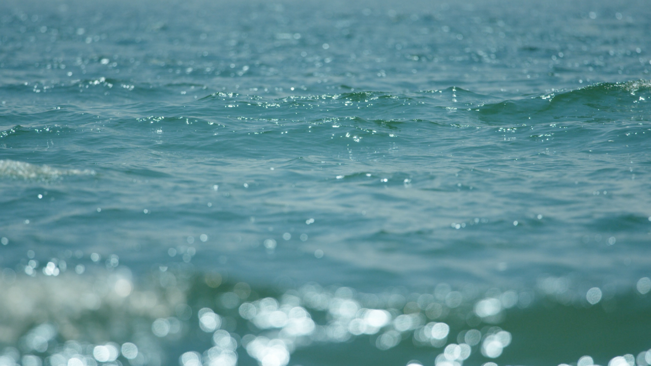 Meditation: Mindfulness with Mona Therese)