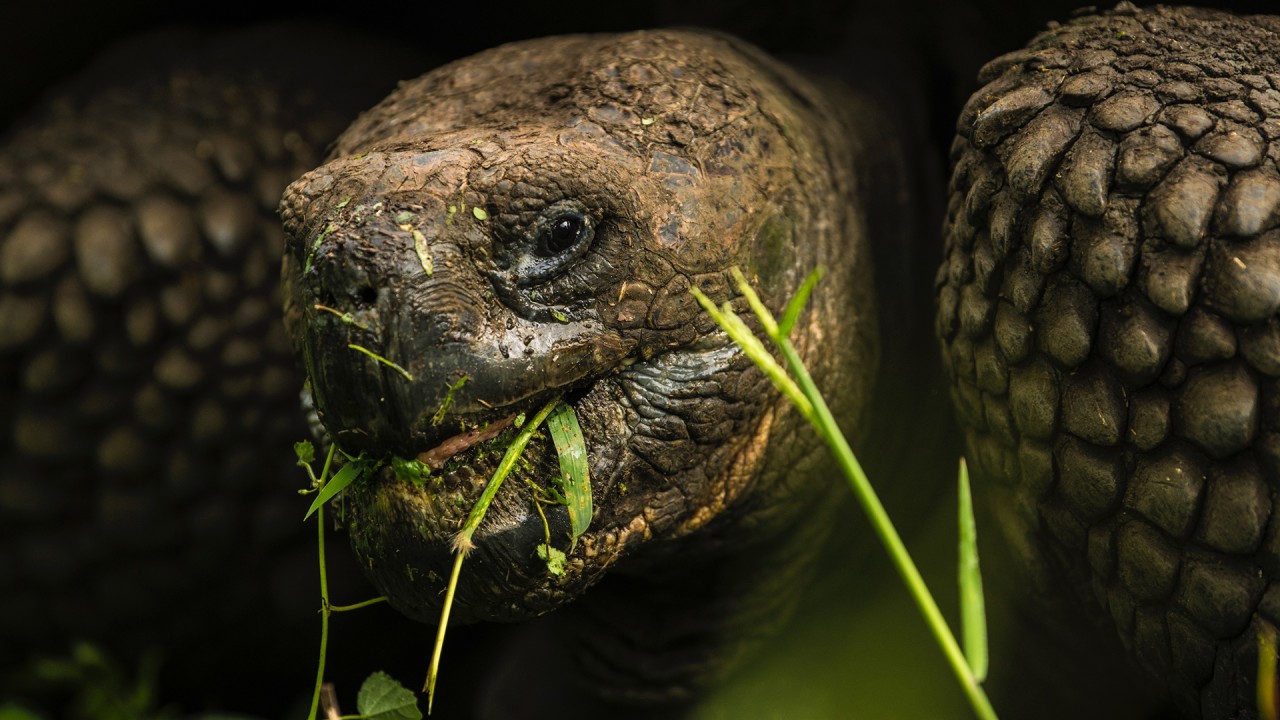 Learn the origins of evolutionary theory with guest lecturer Christopher Bielby)