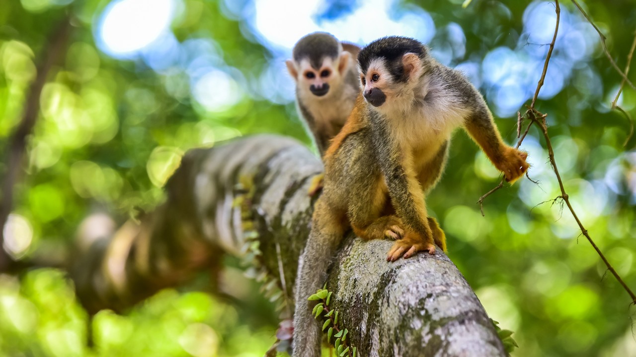 At home in Costa Rica with local guide Irene Arce Gonzalez)