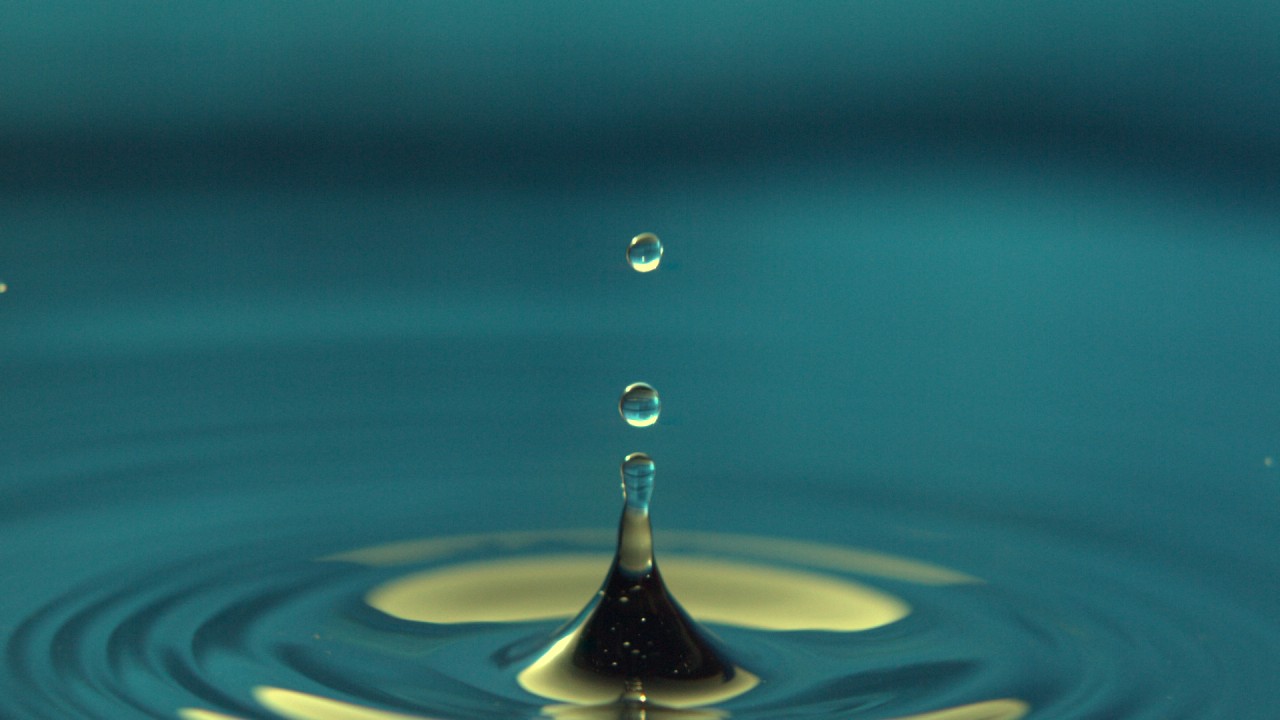 Meditation: Mindfulness with Mona Therese)