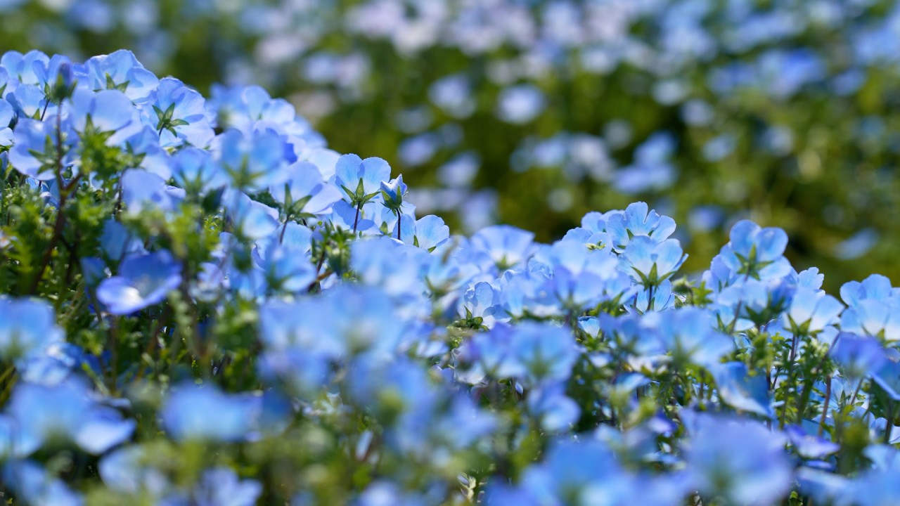 Meditation: Mindfulness with Mona Therese)