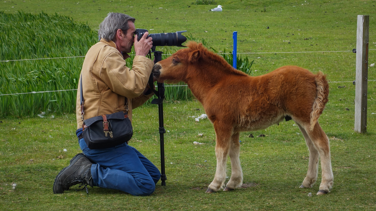 British photographer Alastair Miller shares his favorite images from his travels with Viking)