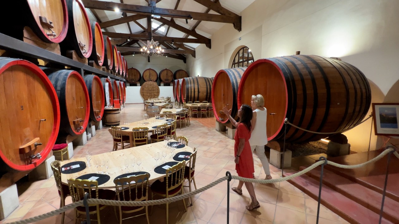 Explore the fruit of Avignon’s olive groves and vineyards and discover what makes this region’s wines so remarkable)