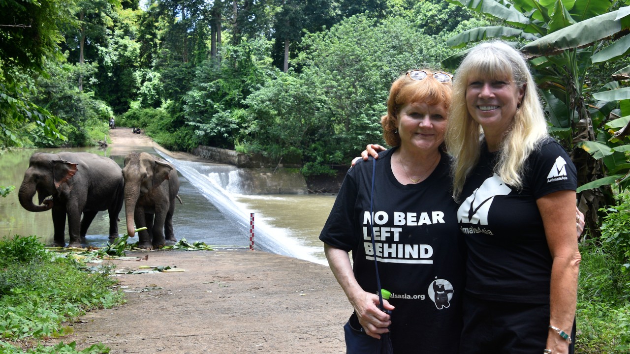 Join Animals Asia’s founder Jill Robinson in conversation with Downton Abbey star Lesley Nicol)