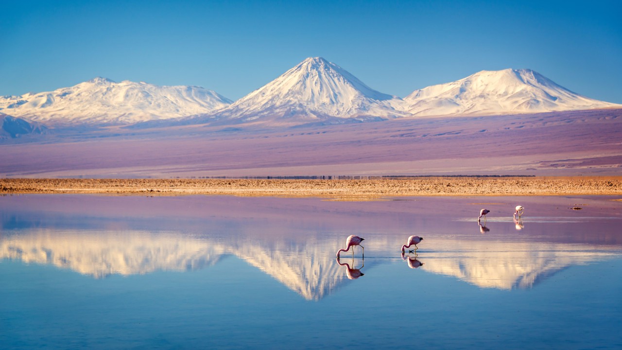 Enjoy the acclaimed documentary film, Searching for Light, An Astronomer's Guide, by Gary Fildes)