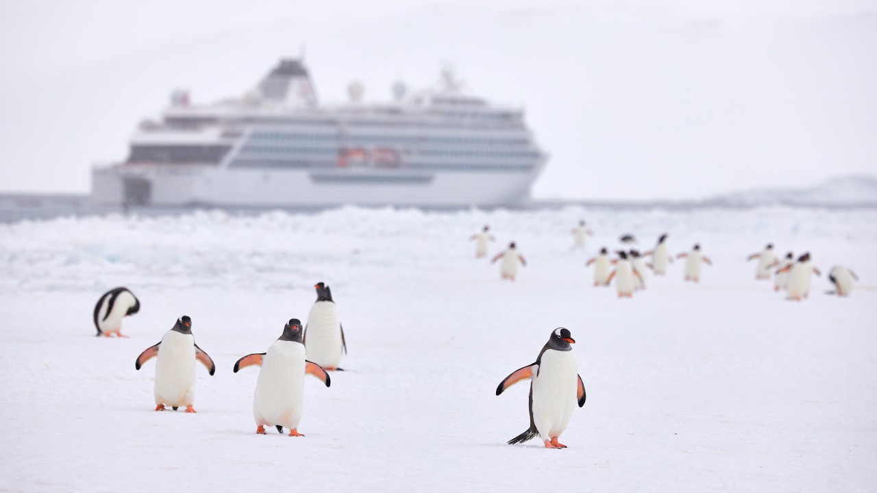 Podcast: Join visual arts journalist Corinne Julius and lecturer David McGonigal for a thought-provoking discussion about Antarctica and the history of this icy continent)