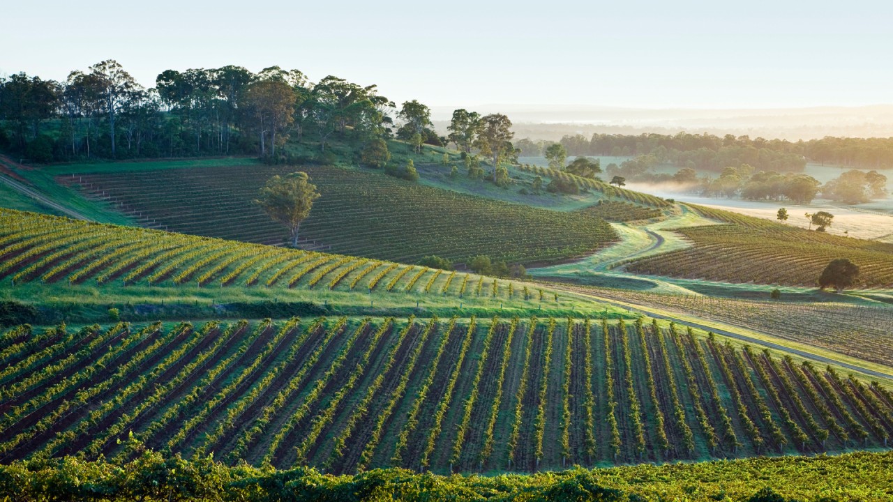 Raise a glass to the wines of Peterson House in the Hunter Valley)