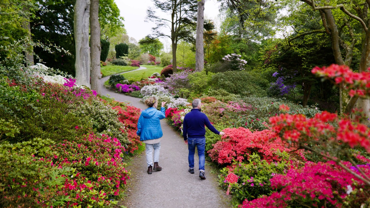 Discover Bodnant Garden and Snowdonia in Wales)