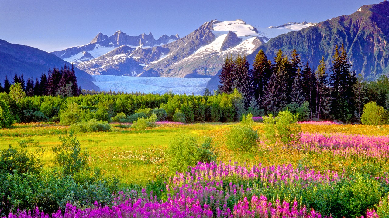 Uncover the treasures of the US with Cruise Critic’s Chris Gray Faust)